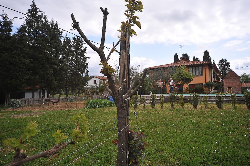 Artenatura Beb Terranuova Bracciolini Exteriér fotografie