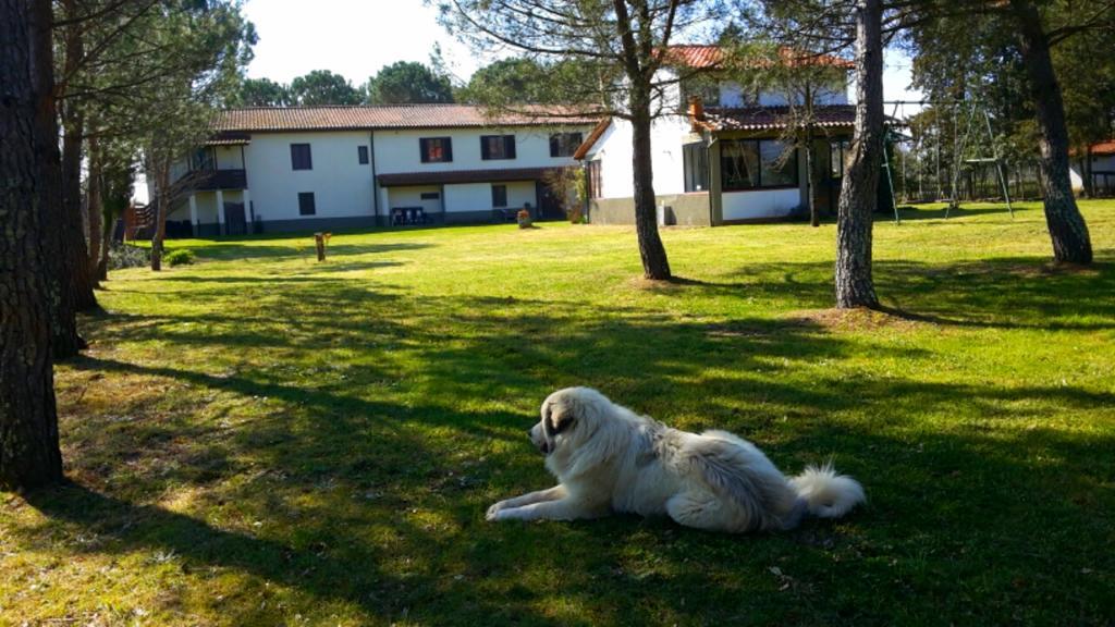 Artenatura Beb Terranuova Bracciolini Exteriér fotografie
